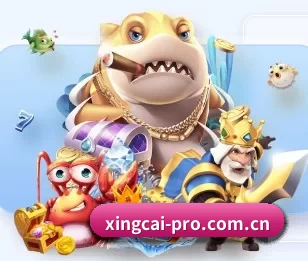 了解平台 - 体育资讯内容服务 - XINGCAI SPORTS